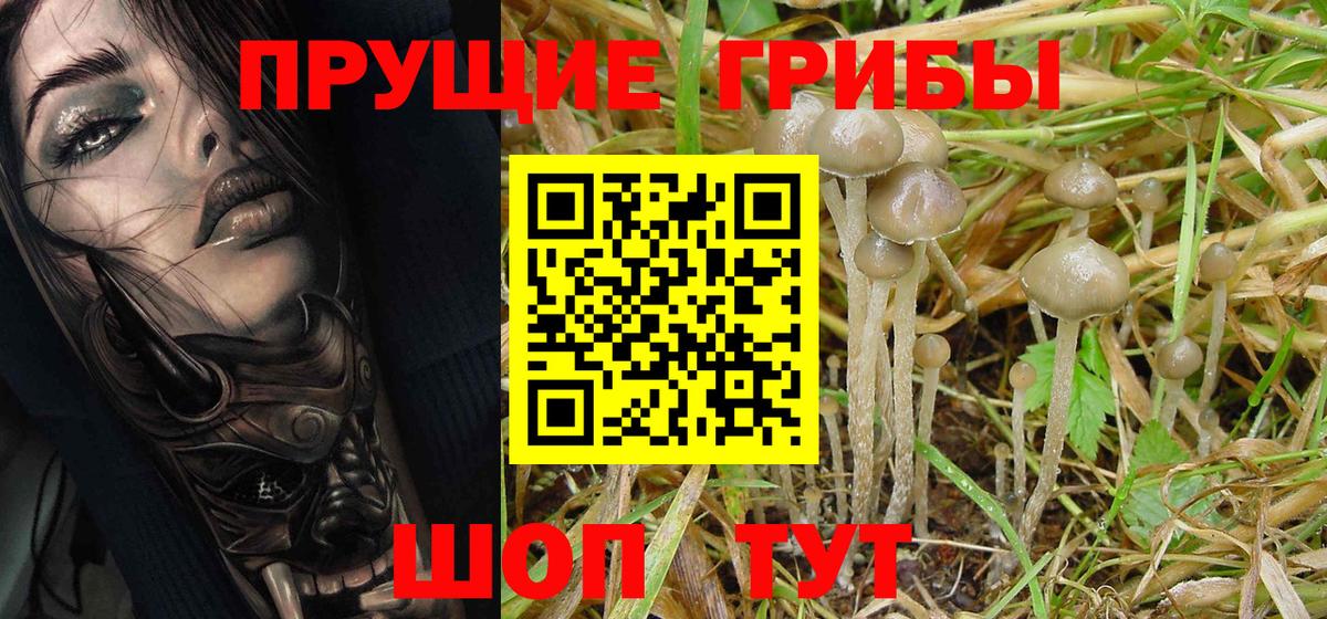 Псилоцибиновые грибы GOLDEN TEACHER Борзя