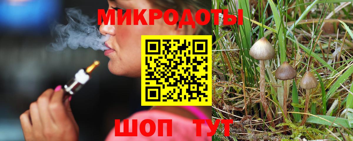 Галлюциногенные грибы Psilocybine cubensis  где купить наркотик  Борзя  Вход с VPN 